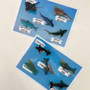 Ookeani loomad – didaktiline mäng