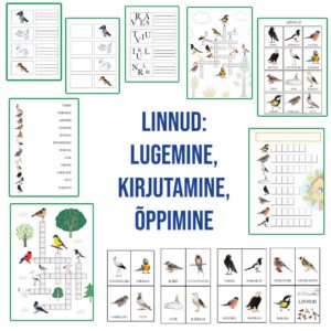 Töölehed: “Linnud”